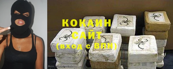 дмт Алзамай