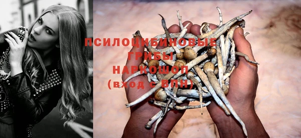 дмт Алзамай